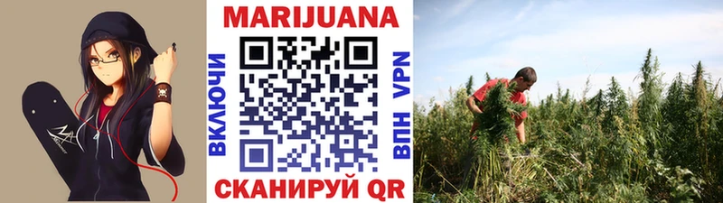 NBOMe Шахты