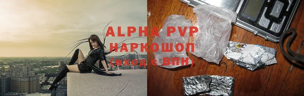 spice Богородицк