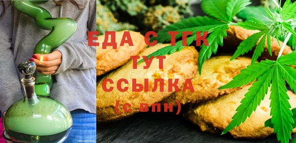spice Богородицк