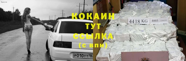 МДПВ Богородск