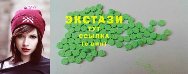 spice Богородицк