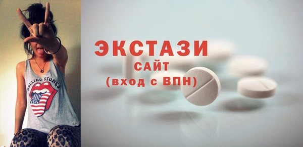 spice Богородицк