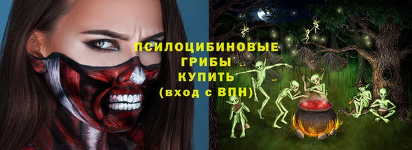 МДПВ Богородск