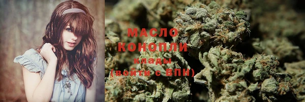 spice Богородицк