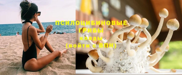 ГАЛЛЮЦИНОГЕННЫЕ ГРИБЫ Белоозёрский