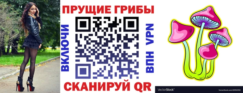 блэк спрут рабочий сайт  Шахты  Галлюциногенные грибы прущие грибы 
