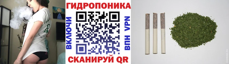 Бошки марихуана конопля  наркотики  Шахты 